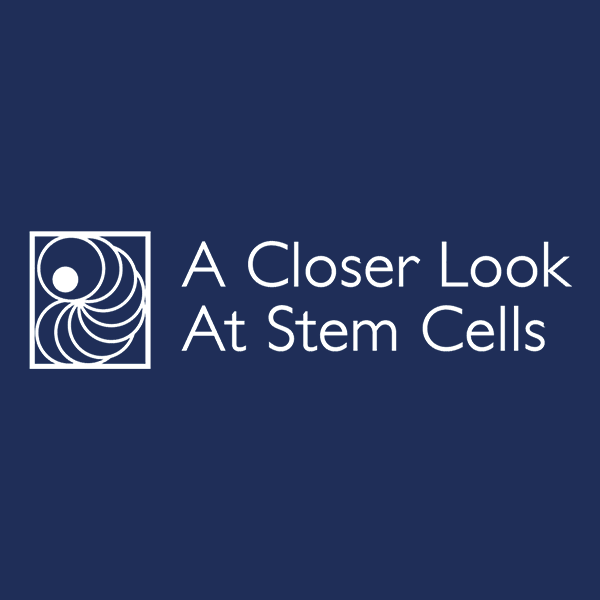 closer look at stem cells
